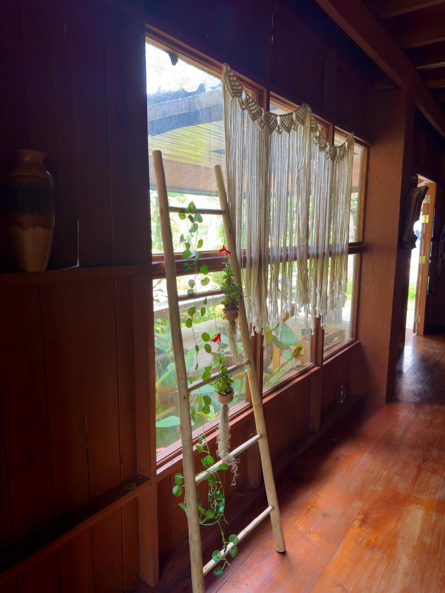 Shaya Homestay & Dorms Pai Exteriör bild